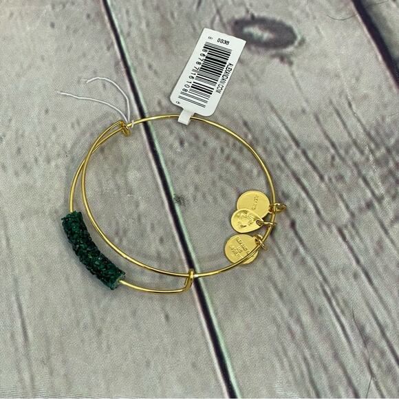Alex and Ani Froze Spruce Fine Rock Gold Bracelet - Picture 1 of 3